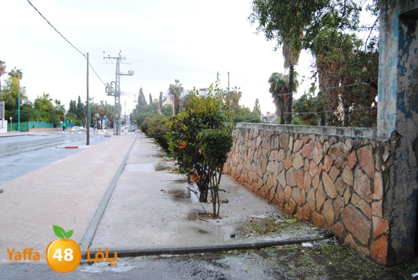 ice ramla 1213 (9).JPG